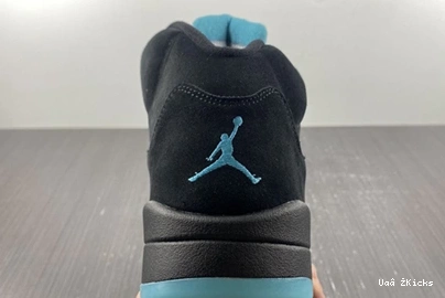 DD0587- 5 Sleek Air Jordan 569 “Aqua” 3721 0928